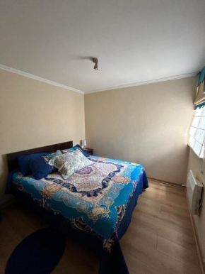 Departamento PET Villarrica